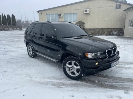 Чорний БМВ Х5, об'ємом двигуна 3 л та пробігом 240 тис. км за 6000 $, фото 1 на Automoto.ua
