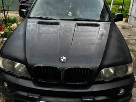 БМВ Х5 2003 в Ямполь на Automoto.ua Черный БМВ Х5, объемом двигателя 3 л и пробегом 300 тыс. км за 4200 $, фото 1 на Automoto.ua