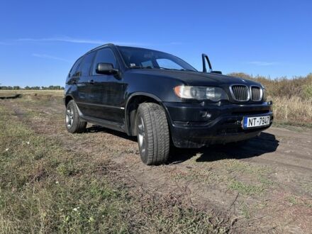 БМВ Х5 2003 в Купянске на Automoto.ua Черный БМВ Х5, объемом двигателя 3 л и пробегом 450 тыс. км за 5300 $, фото 1 на Automoto.ua
