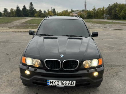 БМВ Х5 2003 у Хмельницькому на Automoto.ua Чорний БМВ Х5, об'ємом двигуна 2.98 л та пробігом 320 тис. км за 9500 $, фото 1 на Automoto.ua