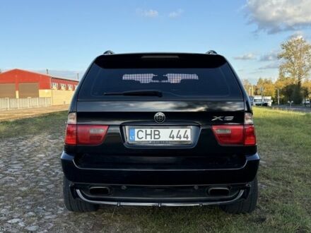 БМВ Х5 2003 в Житомире на Automoto.ua Черный БМВ Х5, объемом двигателя 0 л и пробегом 250 тыс. км за 2900 $, фото 1 на Automoto.ua