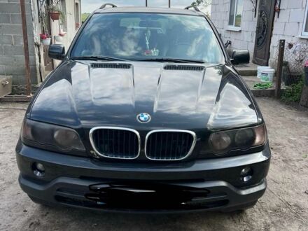 БМВ Х5 2003 у Корце на Automoto.ua Чорний БМВ Х5, об'ємом двигуна 3 л та пробігом 232 тис. км за 7326 $, фото 1 на Automoto.ua