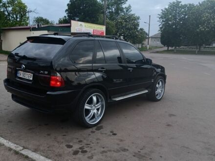 БМВ Х5 2003 в Малой Виске на Automoto.ua Черный БМВ Х5, объемом двигателя 2.9 л и пробегом 320 тыс. км за 12000 $, фото 1 на Automoto.ua
