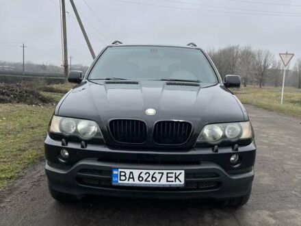 БМВ Х5 2003 у Долинской на Automoto.ua Чорний БМВ Х5, об'ємом двигуна 4.4 л та пробігом 246 тис. км за 8300 $, фото 1 на Automoto.ua