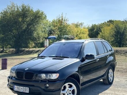 БМВ Х5 2003 у Вольнянске на Automoto.ua Чорний БМВ Х5, об'ємом двигуна 3 л та пробігом 330 тис. км за 6000 $, фото 1 на Automoto.ua