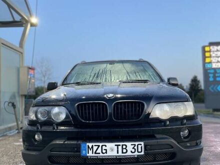 БМВ Х5 2003 в Деражне на Automoto.ua Черный БМВ Х5, объемом двигателя 3 л и пробегом 427 тыс. км за 5000 $, фото 1 на Automoto.ua