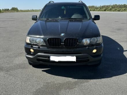 Черный БМВ Х5, объемом двигателя 3 л и пробегом 440 тыс. км за 4900 $, фото 1 на Automoto.ua