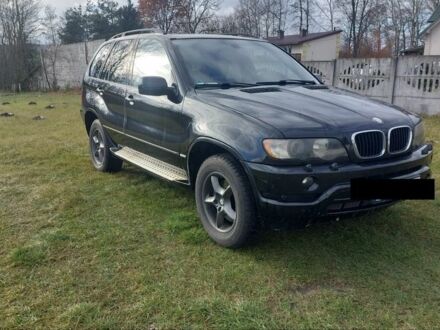 Черный БМВ Х5, объемом двигателя 3 л и пробегом 280 тыс. км за 4500 $, фото 1 на Automoto.ua