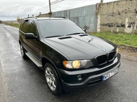 Черный БМВ Х5, объемом двигателя 3 л и пробегом 430 тыс. км за 6500 $, фото 1 на Automoto.ua