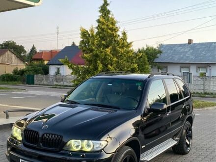 БМВ Х5 2004 у Здолбунове на Automoto.ua Чорний БМВ Х5, об'ємом двигуна 3 л та пробігом 300 тис. км за 7000 $, фото 1 на Automoto.ua