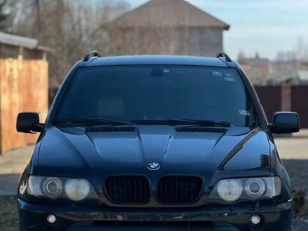 БМВ Х5 2004 в Хусте на Automoto.ua Черный БМВ Х5, объемом двигателя 3 л и пробегом 320 тыс. км за 4600 $, фото 1 на Automoto.ua