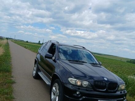 БМВ Х5 2005 у Чернівцях на Automoto.ua Чорний БМВ Х5, об'ємом двигуна 3 л та пробігом 223 тис. км за 3850 $, фото 1 на Automoto.ua