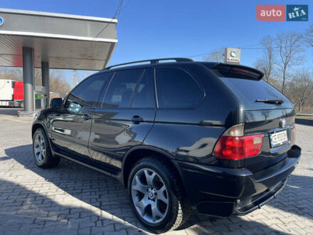 БМВ Х5 2005 в Черновцах на Automoto.ua Черный БМВ Х5, объемом двигателя 0 л и пробегом 250 тыс. км за 11500 $, фото 1 на Automoto.ua