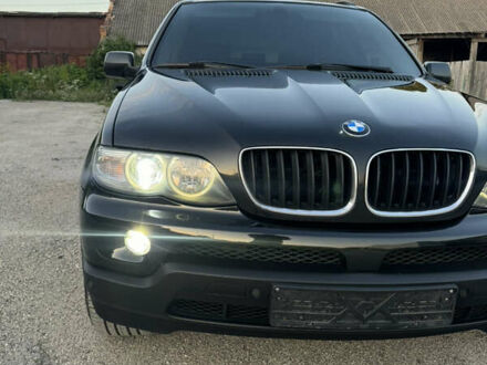 БМВ Х5 2005 у Тернополі на Automoto.ua Чорний БМВ Х5, об'ємом двигуна 3 л та пробігом 320 тис. км за 12999 $, фото 1 на Automoto.ua