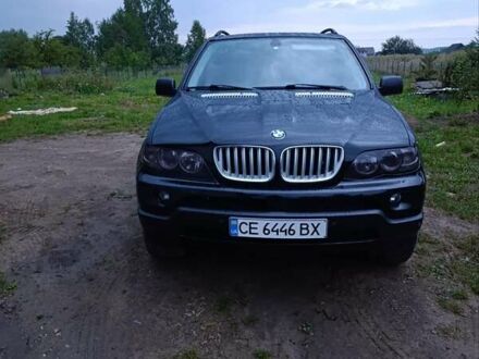 БМВ Х5 2006 в Черновцах на Automoto.ua Черный БМВ Х5, объемом двигателя 3 л и пробегом 321 тыс. км за 11500 $, фото 1 на Automoto.ua