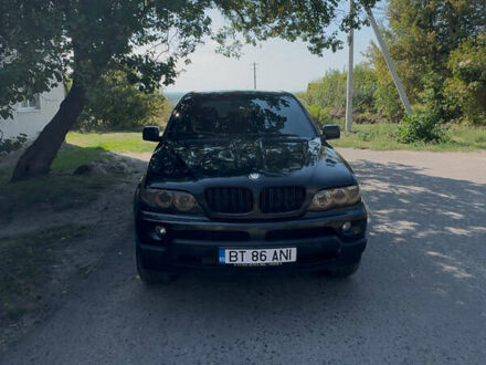 БМВ Х5 2006 в Балаклее на Automoto.ua Черный БМВ Х5, объемом двигателя 3 л и пробегом 368 тыс. км за 6999 $, фото 1 на Automoto.ua