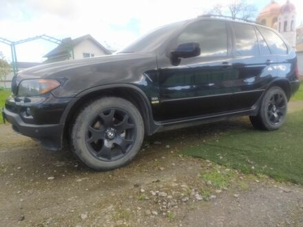 БМВ Х5 2006 в Ивано-Франковске на Automoto.ua Черный БМВ Х5, объемом двигателя 3 л и пробегом 340 тыс. км за 10500 $, фото 1 на Automoto.ua