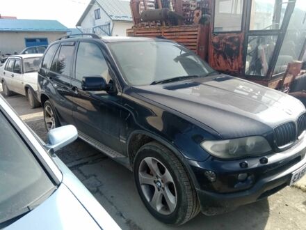 БМВ Х5 2006 в Черткове на Automoto.ua Черный БМВ Х5, объемом двигателя 3 л и пробегом 160 тыс. км за 4100 $, фото 1 на Automoto.ua