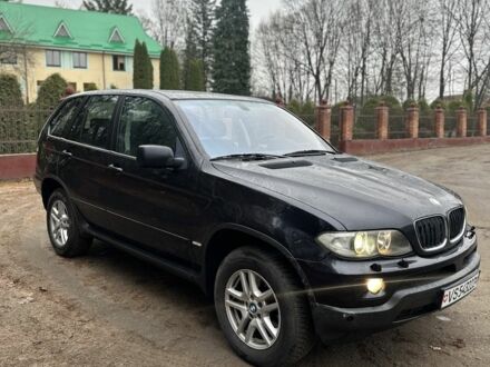 Чорний БМВ Х5, об'ємом двигуна 3 л та пробігом 295 тис. км за 6300 $, фото 1 на Automoto.ua