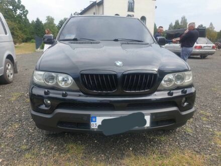 БМВ Х5 2006 у Ратне на Automoto.ua Чорний БМВ Х5, об'ємом двигуна 3 л та пробігом 428 тис. км за 11000 $, фото 1 на Automoto.ua