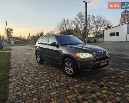 Коричневый БМВ Х5, объемом двигателя 2.98 л и пробегом 192 тыс. км за 17999 $, фото 12 на Automoto.ua