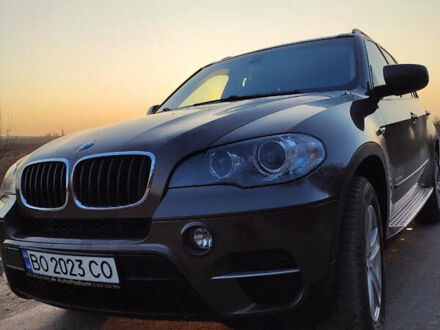 БМВ Х5 2012 в Борщеве на Automoto.ua Коричневый БМВ Х5, объемом двигателя 2.98 л и пробегом 274 тыс. км за 16000 $, фото 1 на Automoto.ua