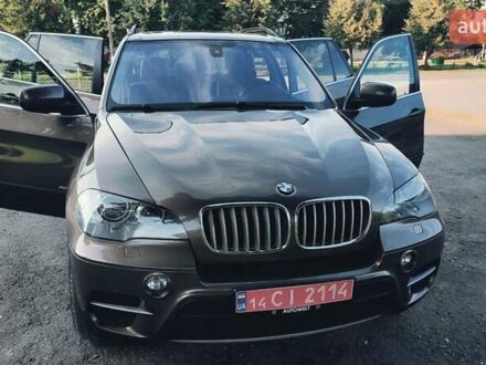 Коричневый БМВ Х5, объемом двигателя 3 л и пробегом 243 тыс. км за 17900 $, фото 1 на Automoto.ua