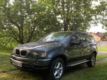 БМВ Х5 2003 у Конотопе на Automoto.ua БМВ Х5, об'ємом двигуна 3 л та пробігом 328 тис. км за 10300 $, фото 1 на Automoto.ua