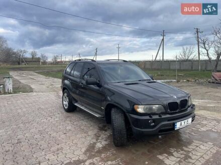БМВ Х5 2003 у Одесі на Automoto.ua БМВ Х5, об'ємом двигуна 3 л та пробігом 350 тис. км за 6500 $, фото 1 на Automoto.ua