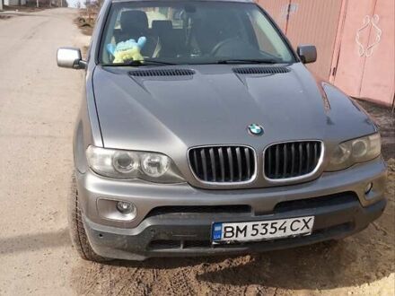 БМВ Х5 2005 в Харькове на Automoto.ua БМВ Х5, объемом двигателя 2.98 л и пробегом 290 тыс. км за 10000 $, фото 1 на Automoto.ua