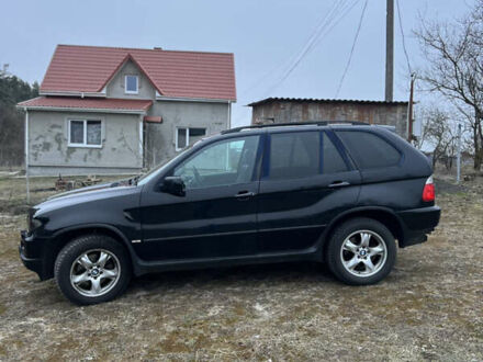 БМВ Х5 2005 в Луцке на Automoto.ua БМВ Х5, объемом двигателя 3 л и пробегом 365 тыс. км за 12000 $, фото 1 на Automoto.ua