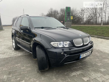 БМВ Х5 2005 у Чернівцях на Automoto.ua БМВ Х5, об'ємом двигуна 3 л та пробігом 300 тис. км за 12500 $, фото 1 на Automoto.ua