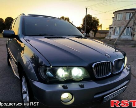 Серый БМВ Х5, объемом двигателя 4.4 л и пробегом 234 тыс. км за 7200 $, фото 7 на Automoto.ua
