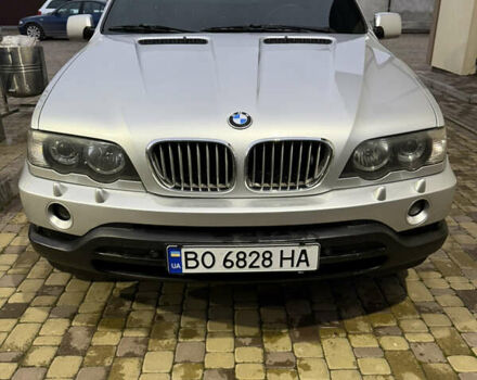 Сірий БМВ Х5, об'ємом двигуна 3 л та пробігом 390 тис. км за 10000 $, фото 1 на Automoto.ua