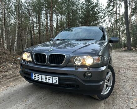 Серый БМВ Х5, объемом двигателя 3 л и пробегом 380 тыс. км за 5900 $, фото 9 на Automoto.ua