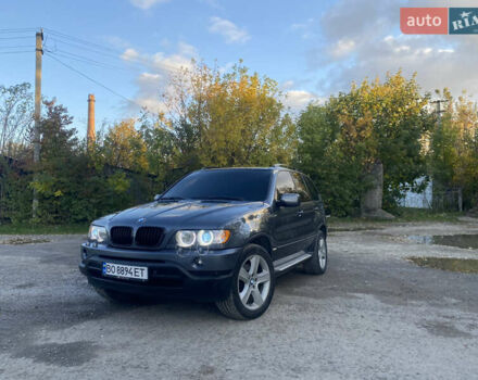 Серый БМВ Х5, объемом двигателя 2.98 л и пробегом 300 тыс. км за 8800 $, фото 11 на Automoto.ua
