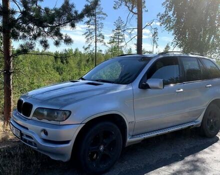 Серый БМВ Х5, объемом двигателя 3 л и пробегом 320 тыс. км за 4500 $, фото 8 на Automoto.ua