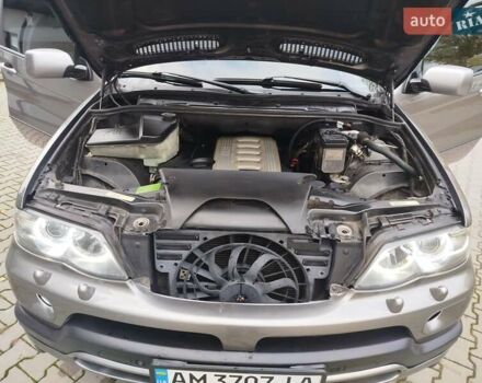 Серый БМВ Х5, объемом двигателя 3 л и пробегом 336 тыс. км за 13000 $, фото 40 на Automoto.ua