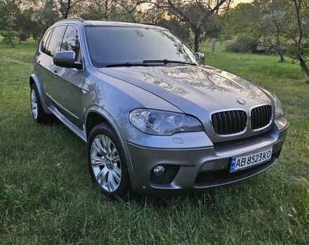 Серый БМВ Х5, объемом двигателя 3 л и пробегом 225 тыс. км за 15500 $, фото 14 на Automoto.ua