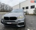 Серый БМВ Х5, объемом двигателя 2.99 л и пробегом 230 тыс. км за 31900 $, фото 42 на Automoto.ua