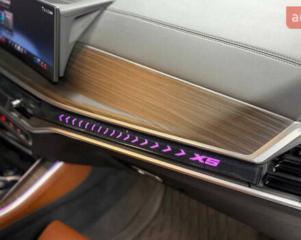 Серый БМВ Х5, объемом двигателя 3 л и пробегом 35 тыс. км за 104900 $, фото 24 на Automoto.ua