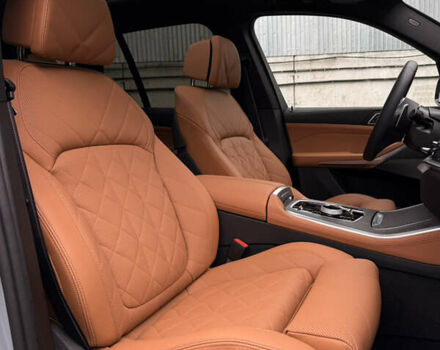 Серый БМВ Х5, объемом двигателя 3 л и пробегом 10 тыс. км за 132000 $, фото 23 на Automoto.ua