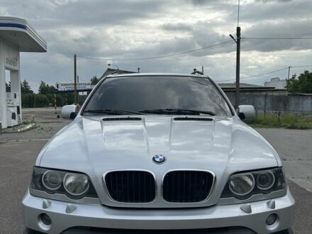 БМВ Х5 2001 в Путивле на Automoto.ua Серый БМВ Х5, объемом двигателя 2.9 л и пробегом 500 тыс. км за 8000 $, фото 1 на Automoto.ua