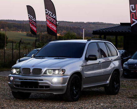 Серый БМВ Х5, объемом двигателя 3 л и пробегом 424 тыс. км за 6400 $, фото 1 на Automoto.ua