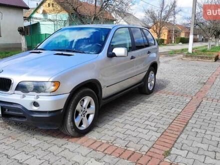 БМВ Х5 2001 в Виноградове на Automoto.ua Серый БМВ Х5, объемом двигателя 2.9 л и пробегом 275 тыс. км за 8800 $, фото 1 на Automoto.ua