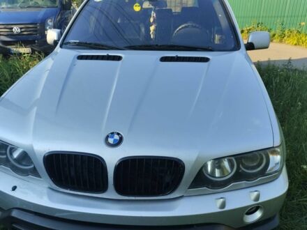 Сірий БМВ Х5, об'ємом двигуна 4.4 л та пробігом 275 тис. км за 6500 $, фото 1 на Automoto.ua