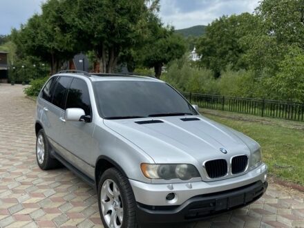 БМВ Х5 2001 у Косове на Automoto.ua Сірий БМВ Х5, об'ємом двигуна 3 л та пробігом 280 тис. км за 6800 $, фото 1 на Automoto.ua