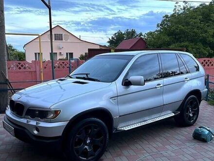 Серый БМВ Х5, объемом двигателя 3 л и пробегом 345 тыс. км за 11200 $, фото 1 на Automoto.ua