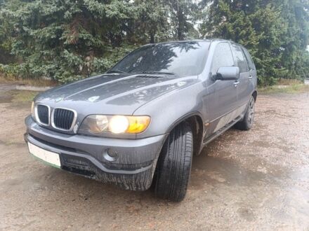 Серый БМВ Х5, объемом двигателя 3 л и пробегом 300 тыс. км за 4700 $, фото 1 на Automoto.ua
