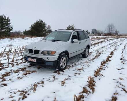 Серый БМВ Х5, объемом двигателя 3 л и пробегом 312 тыс. км за 3999 $, фото 1 на Automoto.ua